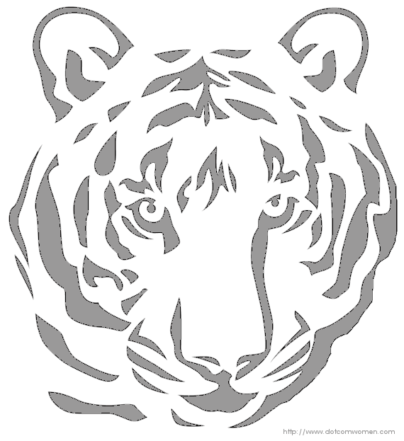 tiger-face-pattern